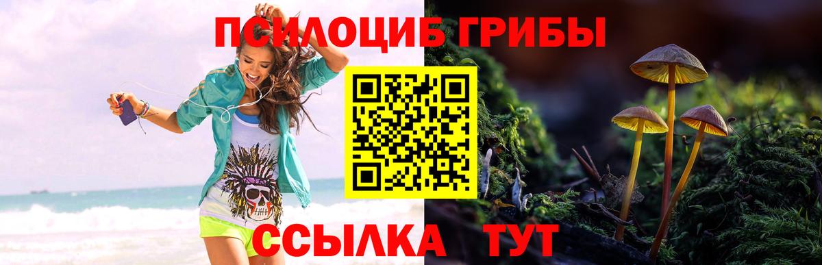 Шарыпово  Псилоцибиновые грибы мухоморы  Вход с VPN 